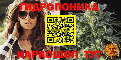 каннабис Новодвинск