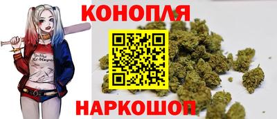 крисы Нальчик