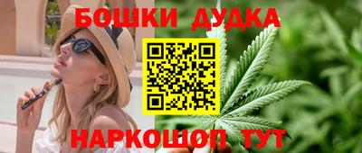 крисы Нальчик