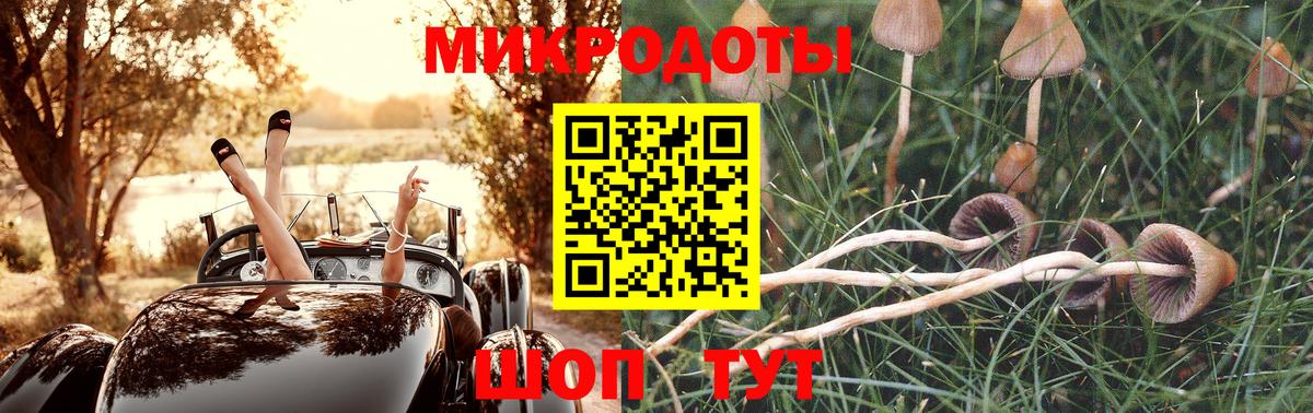 Псилоцибиновые грибы Psilocybe Шали