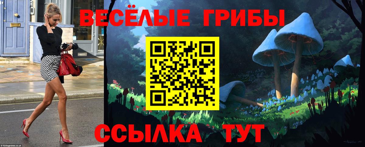 Шали  Галлюциногенные грибы Psilocybe  Галлюциногенные грибы ЛСД  Вход с VPN 